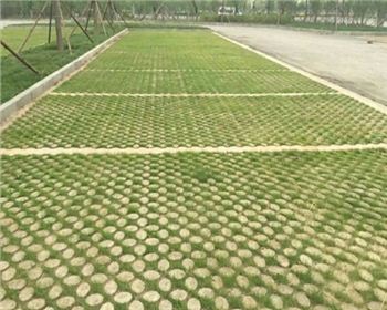 成都植草世俱杯体育在线注册