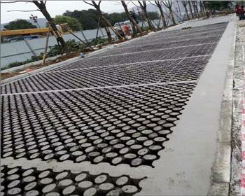 四川植草世俱杯体育在线注册