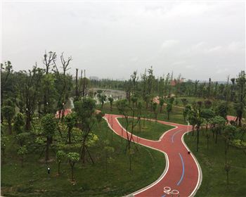 遂宁透水世俱杯体育在线注册