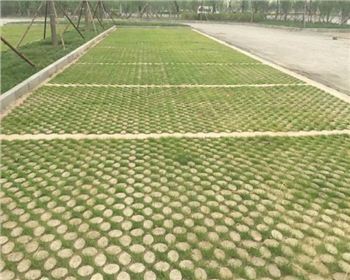 高承载植草地坪的优点