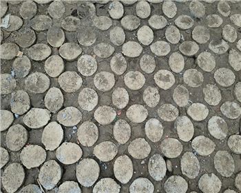 四川现浇植草世俱杯体育在线注册